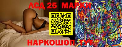 твердый Кандалакша