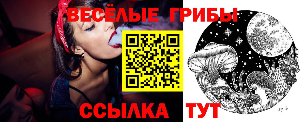 Псилоцибиновые грибы Cubensis  Псилоцибиновые грибы Psilocybine cubensis  Вход с VPN  Кудымкар 